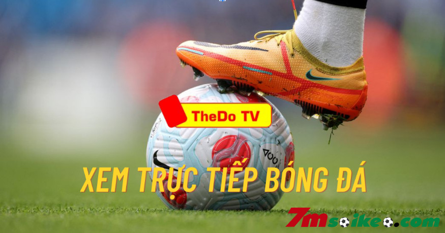 Thedo TV là gì? Tìm hiểu thông tin tổng quan về kênh Thedo TV
