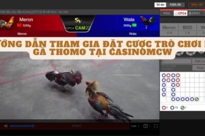 Casinomcw – Trang web cá cược đá gà thomo hàng đầu Việt Nam