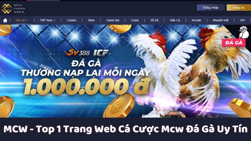 Giới thiệu về thông tin của MCW