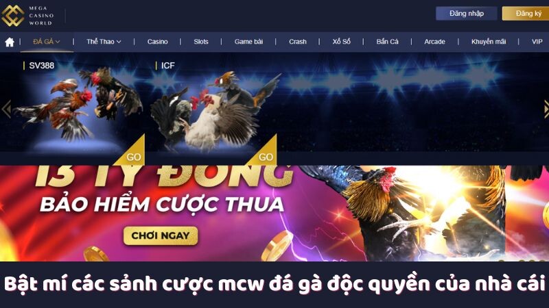 Bật mí các sảnh cược mcw đá gà độc quyền của nhà cái