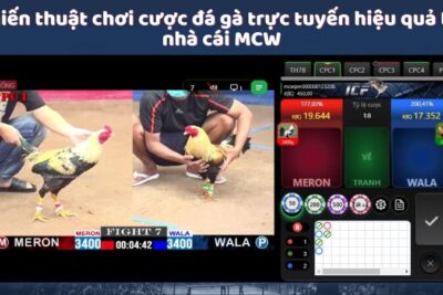 Nhà Cái MCW – Sân Chơi Cá Độ Đá Gà Hot Nhất 2024