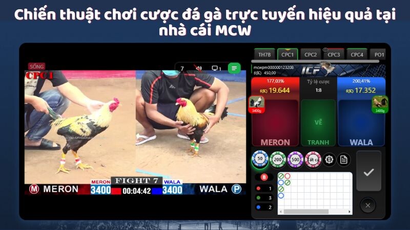 Chiến thuật chơi cược đá gà trực tuyến hiệu quả tại nhà cái MCW