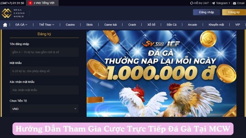 Hướng Dẫn Tham Gia Cược Trực Tiếp Đá Gà Tại MCW