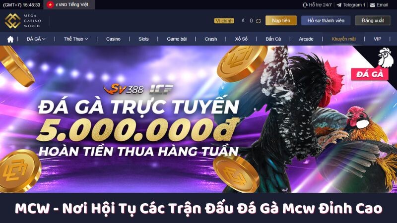 Tìm hiểu chung về MCW