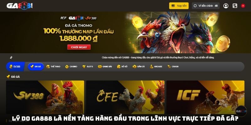 Lý do GA888 là nền tảng hàng đầu trong lĩnh vực trực tiếp đá gà?